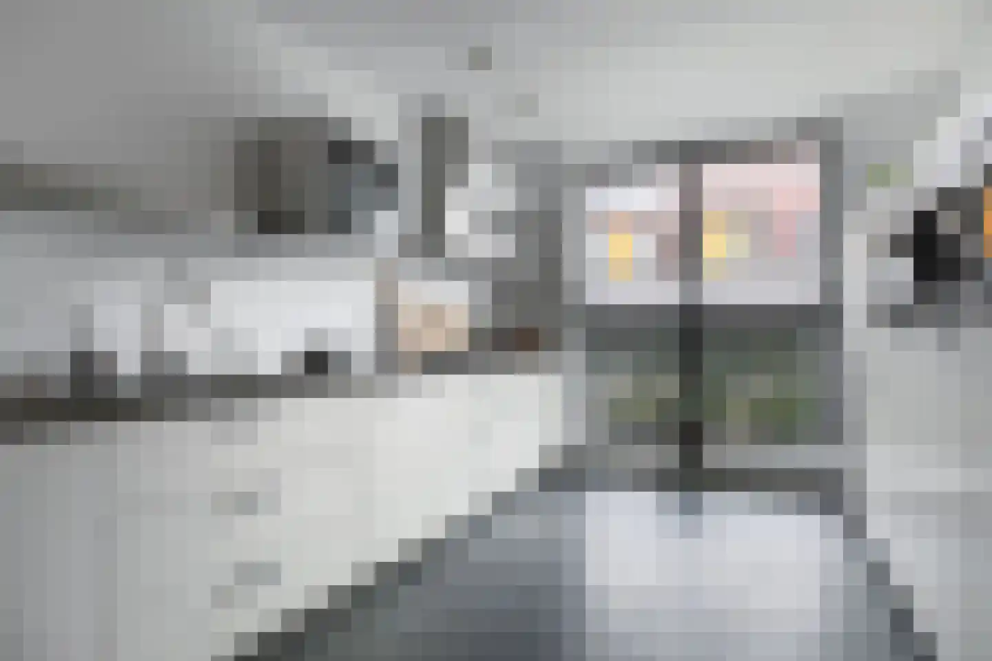 Streeksel 3 Hooglanderveen thumbnail 13