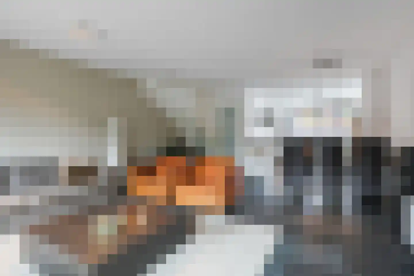 Streeksel 3 Hooglanderveen thumbnail 17