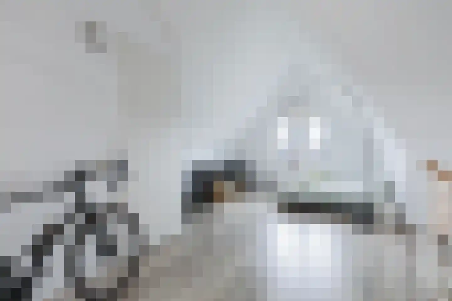Streeksel 3 Hooglanderveen thumbnail 35
