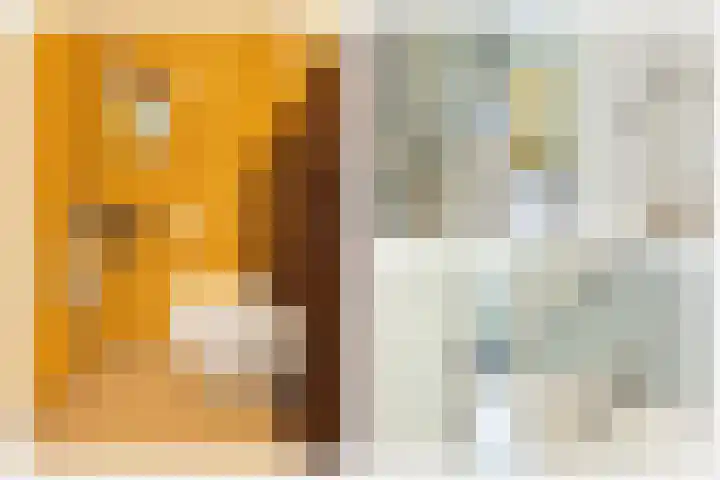 Streeksel 9 Hooglanderveen thumbnail 10