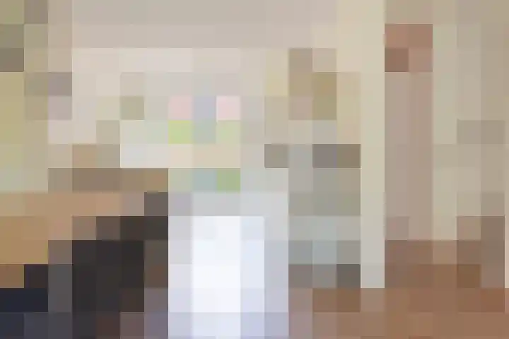 Streeksel 9 Hooglanderveen thumbnail 12