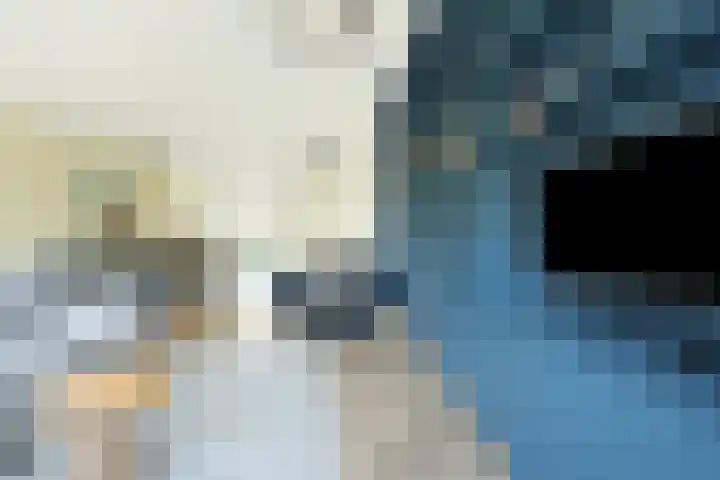 Streeksel 9 Hooglanderveen thumbnail 13
