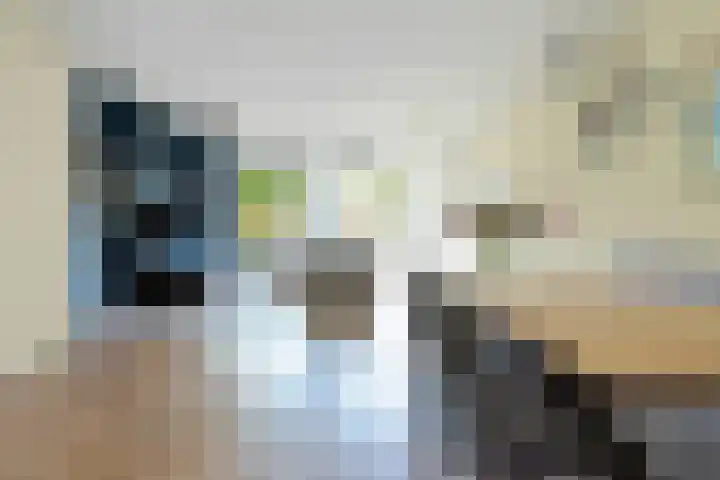 Streeksel 9 Hooglanderveen thumbnail 14