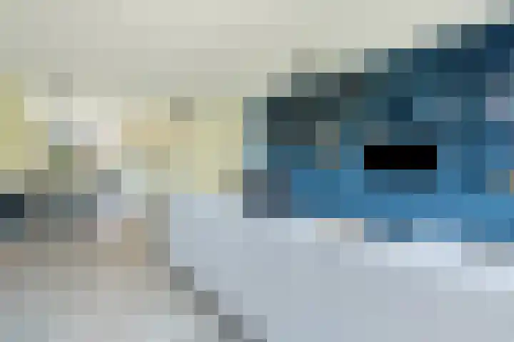 Streeksel 9 Hooglanderveen thumbnail 16