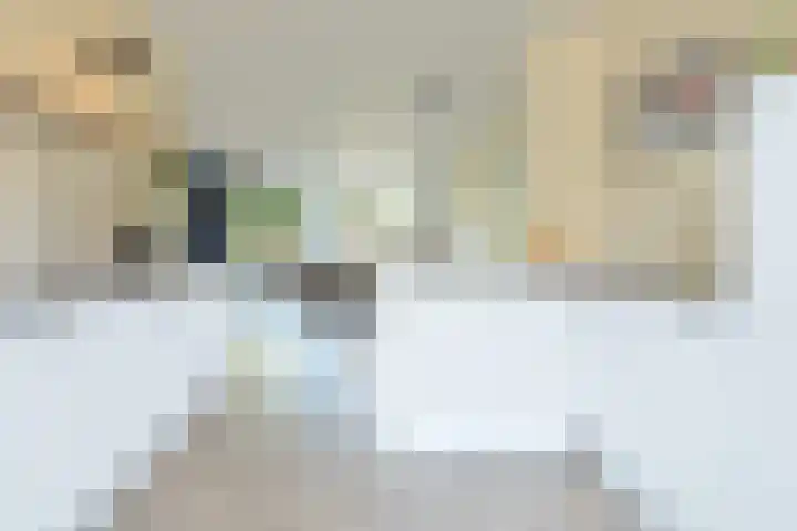 Streeksel 9 Hooglanderveen thumbnail 17