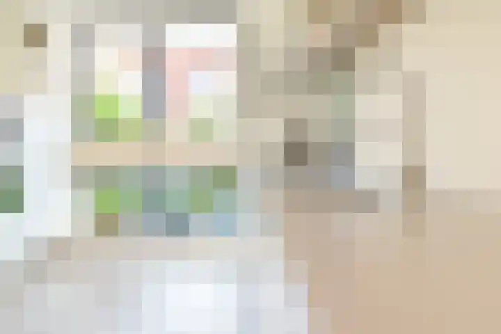 Streeksel 9 Hooglanderveen thumbnail 18