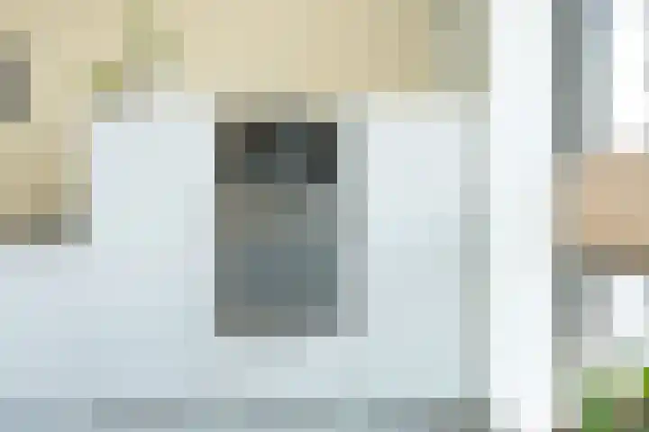 Streeksel 9 Hooglanderveen thumbnail 19