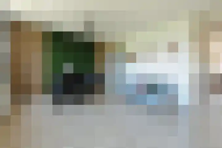Streeksel 9 Hooglanderveen thumbnail 20