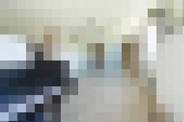 Streeksel 9 Hooglanderveen thumbnail 22