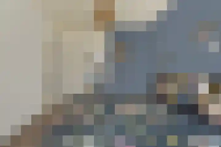 Streeksel 9 Hooglanderveen thumbnail 25