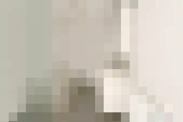 Streeksel 9 Hooglanderveen thumbnail 26