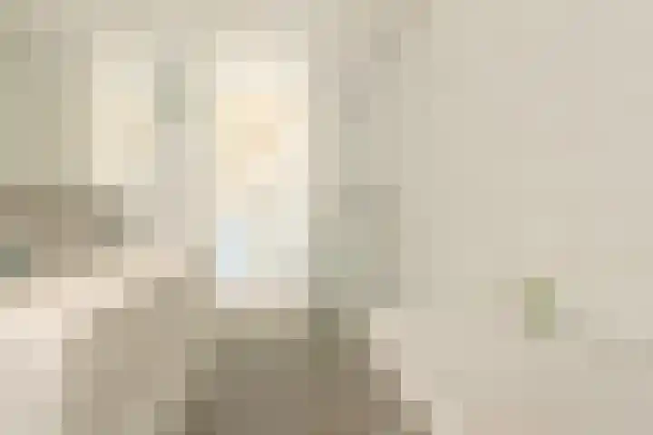 Streeksel 9 Hooglanderveen thumbnail 27