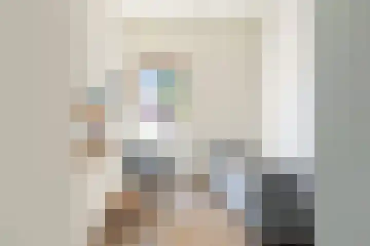 Streeksel 9 Hooglanderveen thumbnail 28