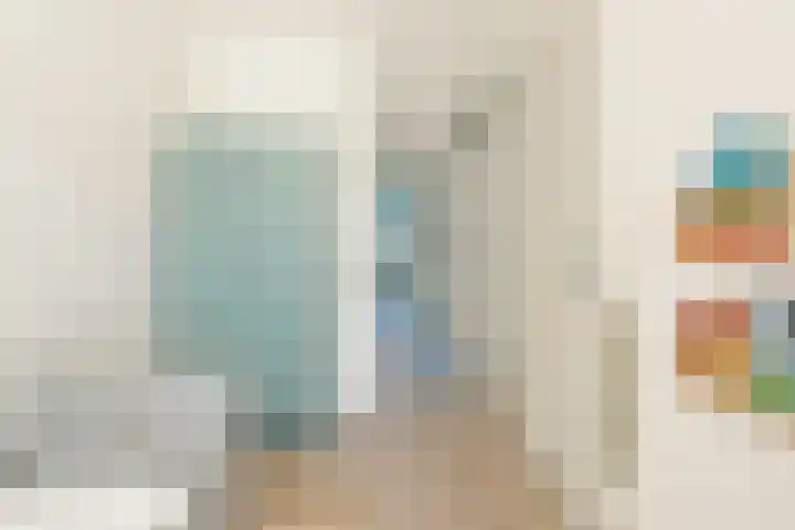 Streeksel 9 Hooglanderveen thumbnail 29