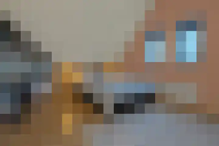 Streeksel 9 Hooglanderveen thumbnail 30