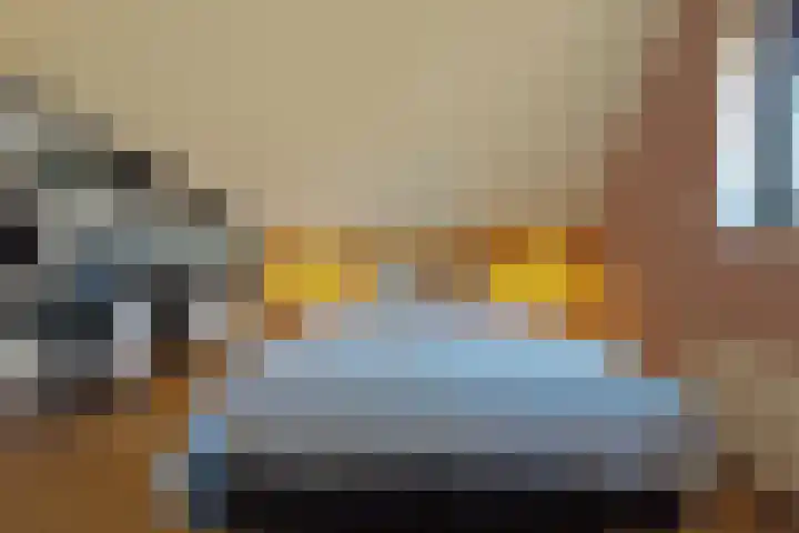Streeksel 9 Hooglanderveen thumbnail 31