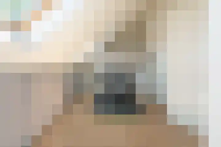 Streeksel 9 Hooglanderveen thumbnail 32
