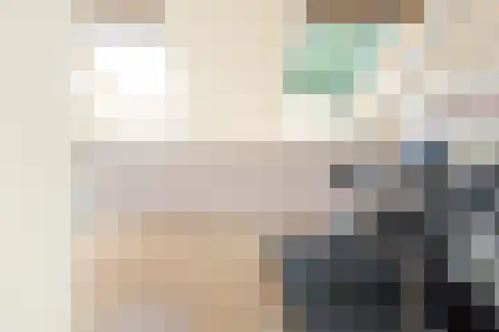 Streeksel 9 Hooglanderveen thumbnail 33