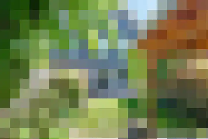 Streeksel 9 Hooglanderveen thumbnail 38