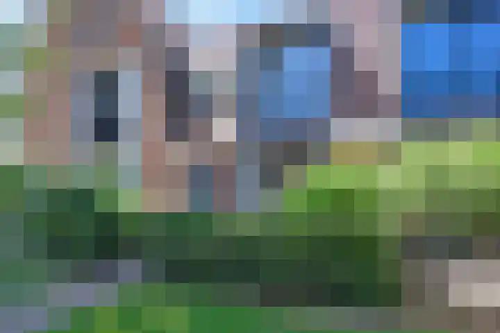 Streeksel 9 Hooglanderveen thumbnail 40
