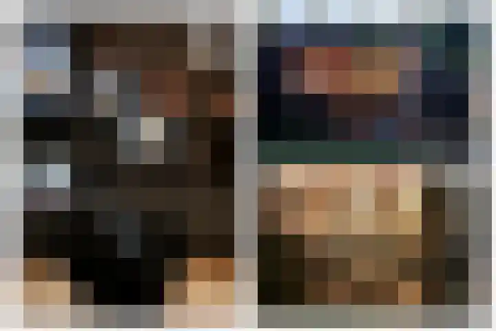 Streeksel 9 Hooglanderveen thumbnail 41