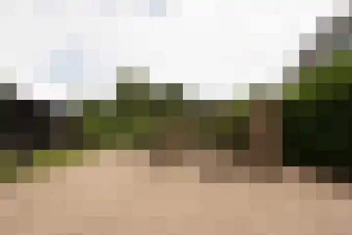 Streeksel 9 Hooglanderveen thumbnail 42