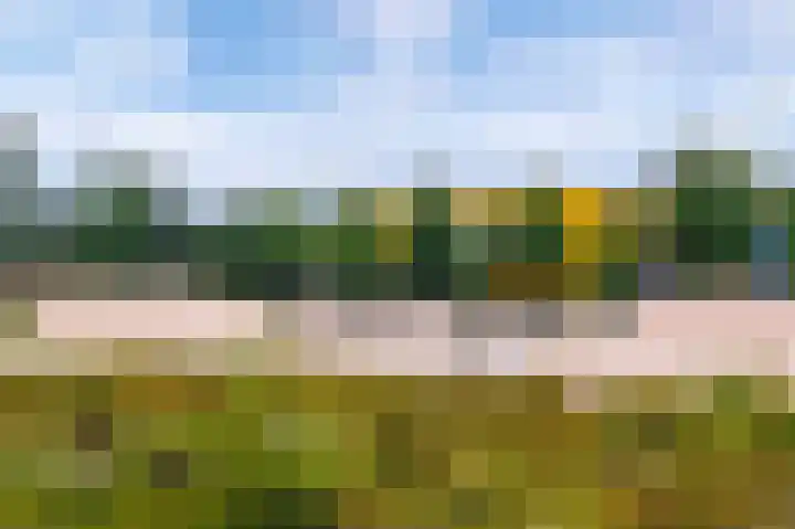 Streeksel 9 Hooglanderveen thumbnail 45