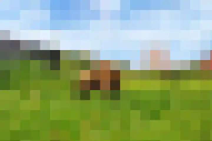 Streeksel 9 Hooglanderveen thumbnail 47