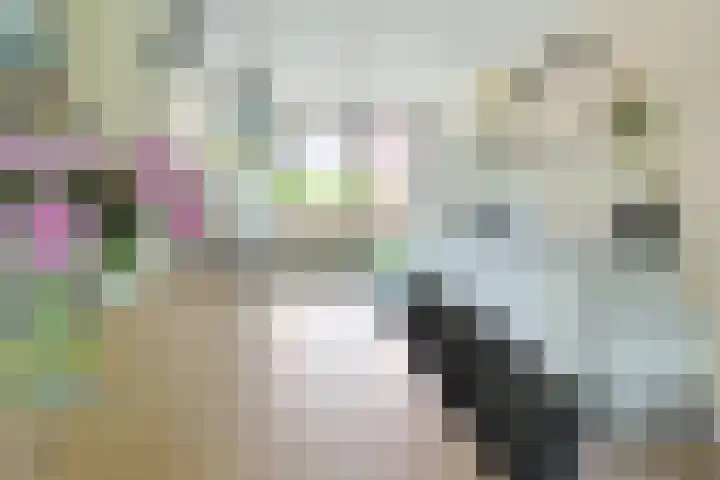 Streeksel 9 Hooglanderveen thumbnail 5