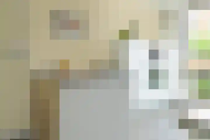 Streeksel 9 Hooglanderveen thumbnail 7