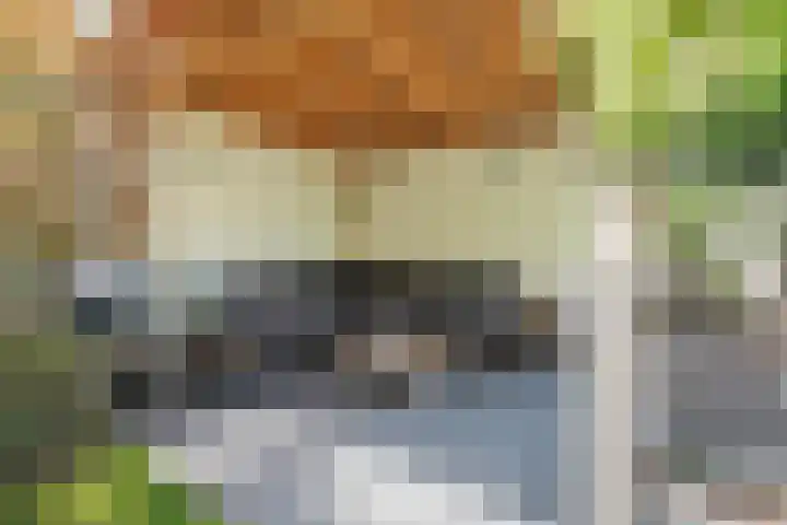 Streeksel 9 Hooglanderveen thumbnail 8