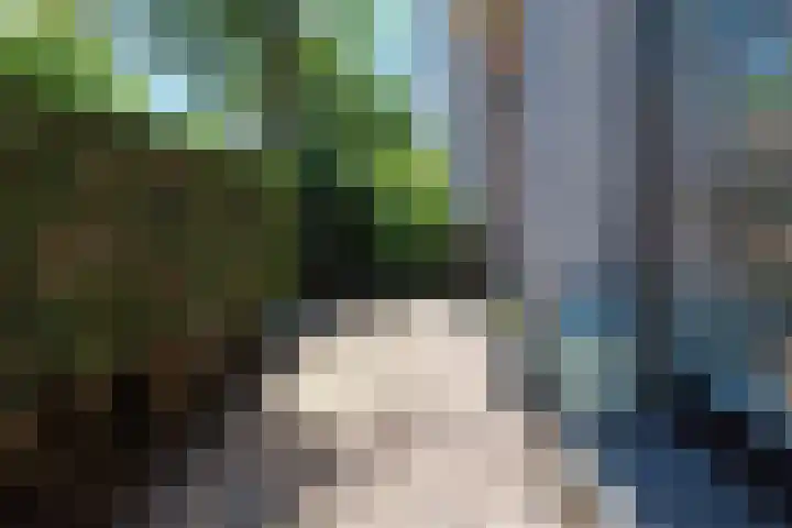Streeksel 9 Hooglanderveen thumbnail 9