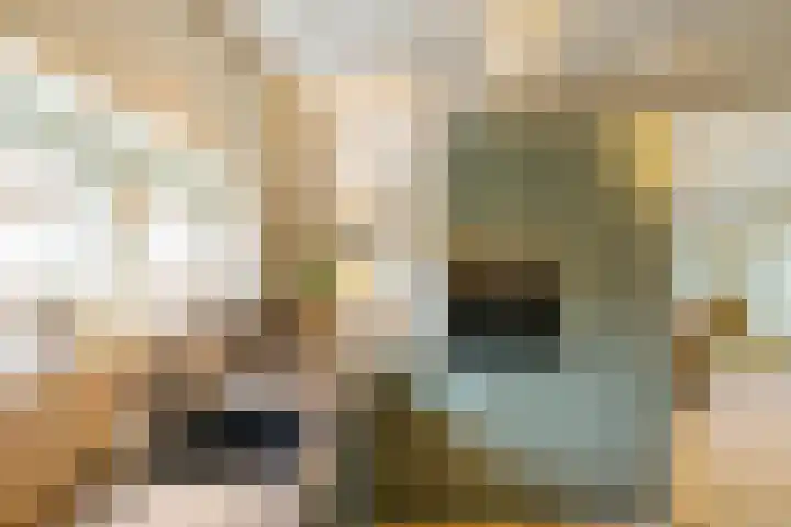 Streeksterpad 7 Wirdum thumbnail 10