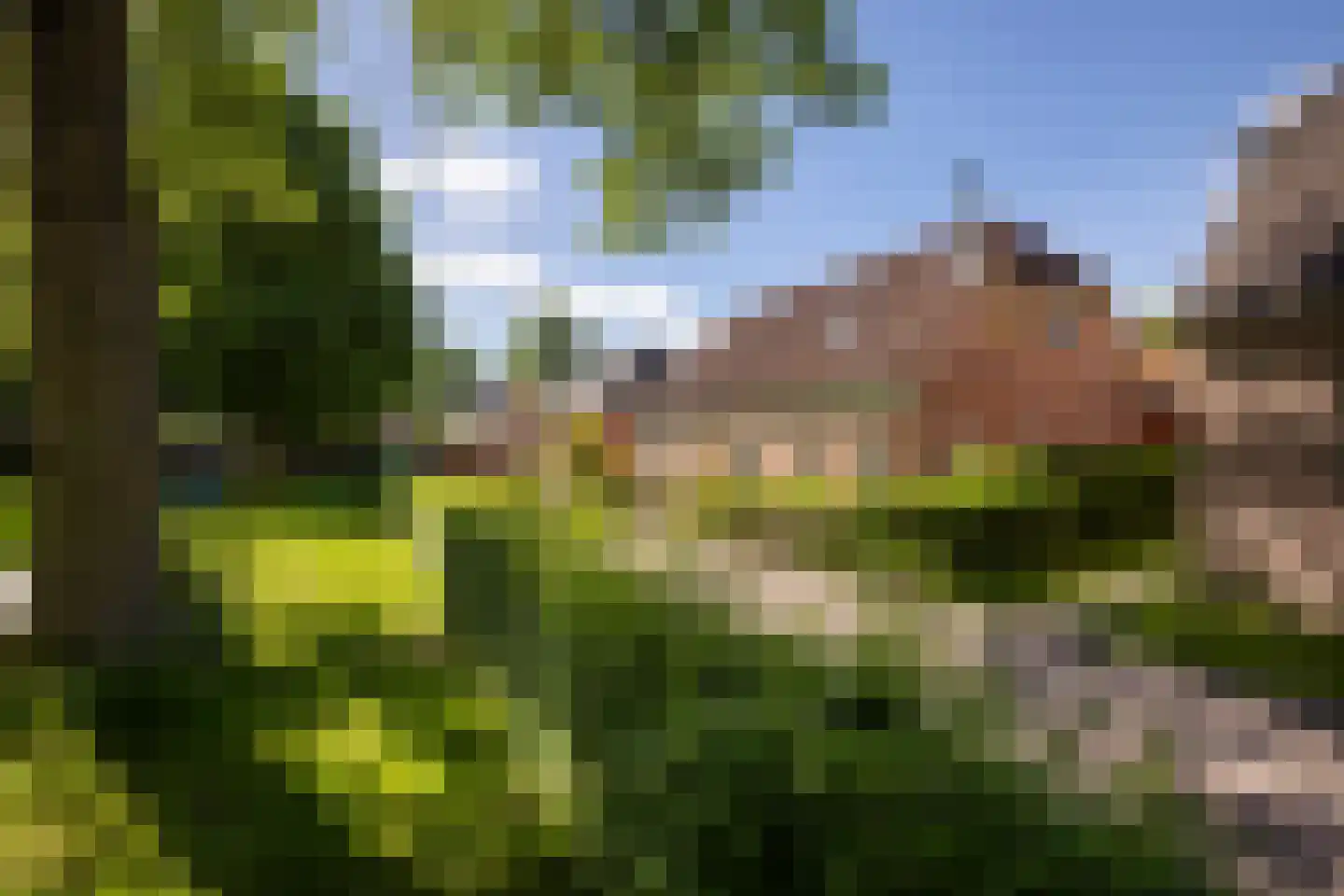 Streeksterpad 7 Wirdum thumbnail 11