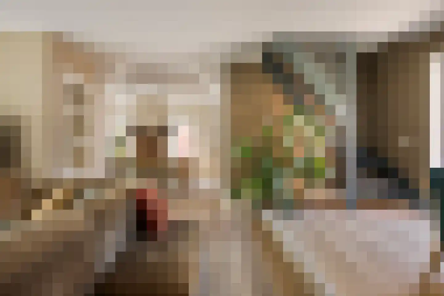 Streeksterpad 7 Wirdum thumbnail 21