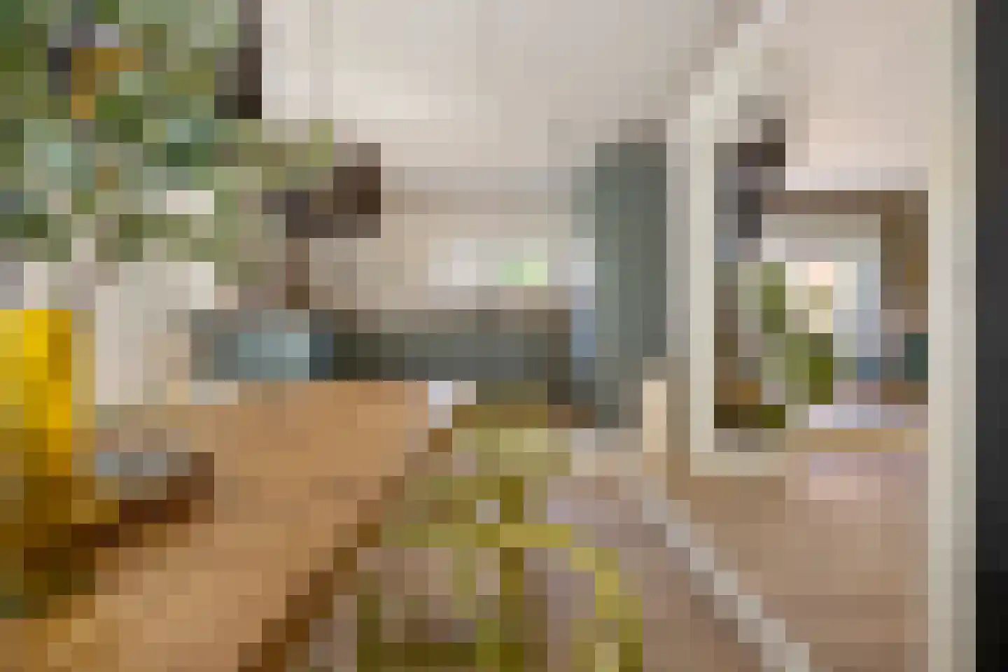 Streeksterpad 7 Wirdum thumbnail 25