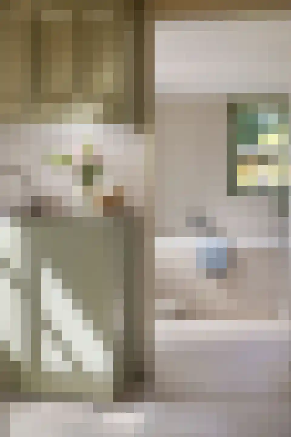 Streeksterpad 7 Wirdum thumbnail 34