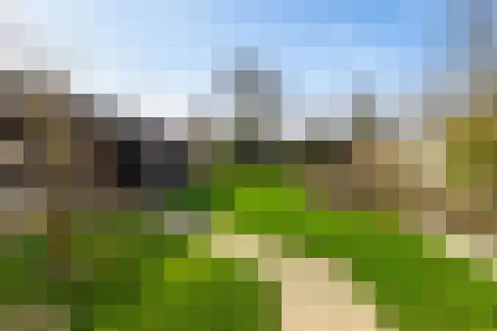 Streeksterpad 7 Wirdum thumbnail 37