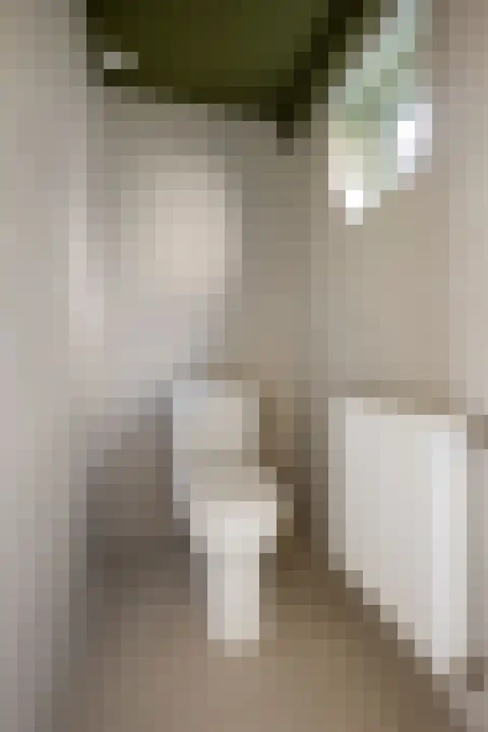 Streeksterpad 7 Wirdum thumbnail 38