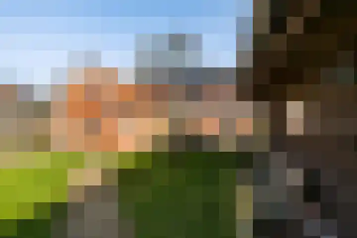 Streeksterpad 7 Wirdum thumbnail 39