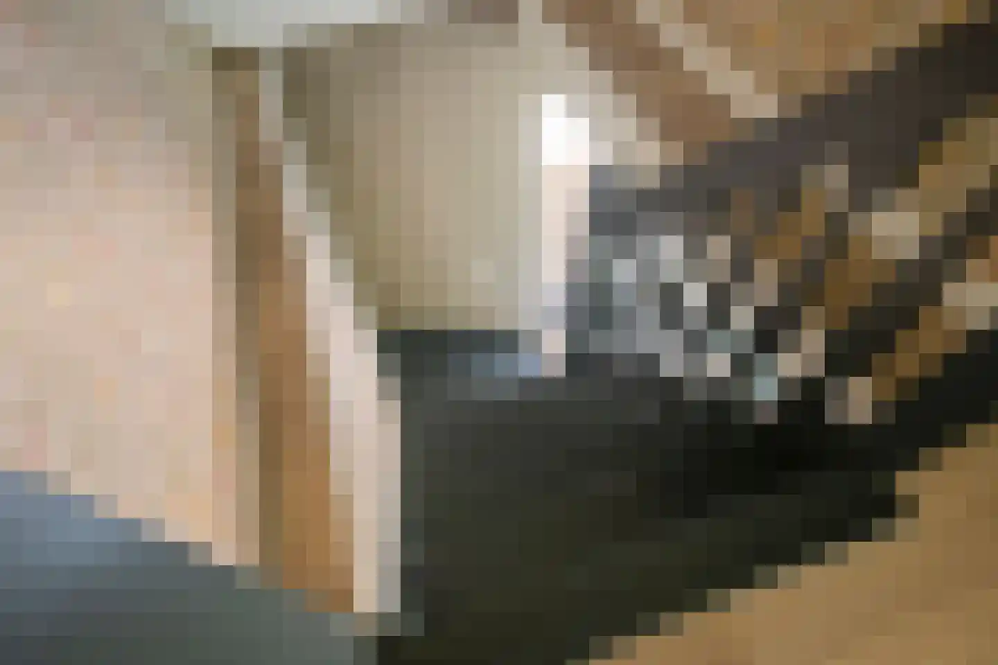 Streeksterpad 7 Wirdum thumbnail 39