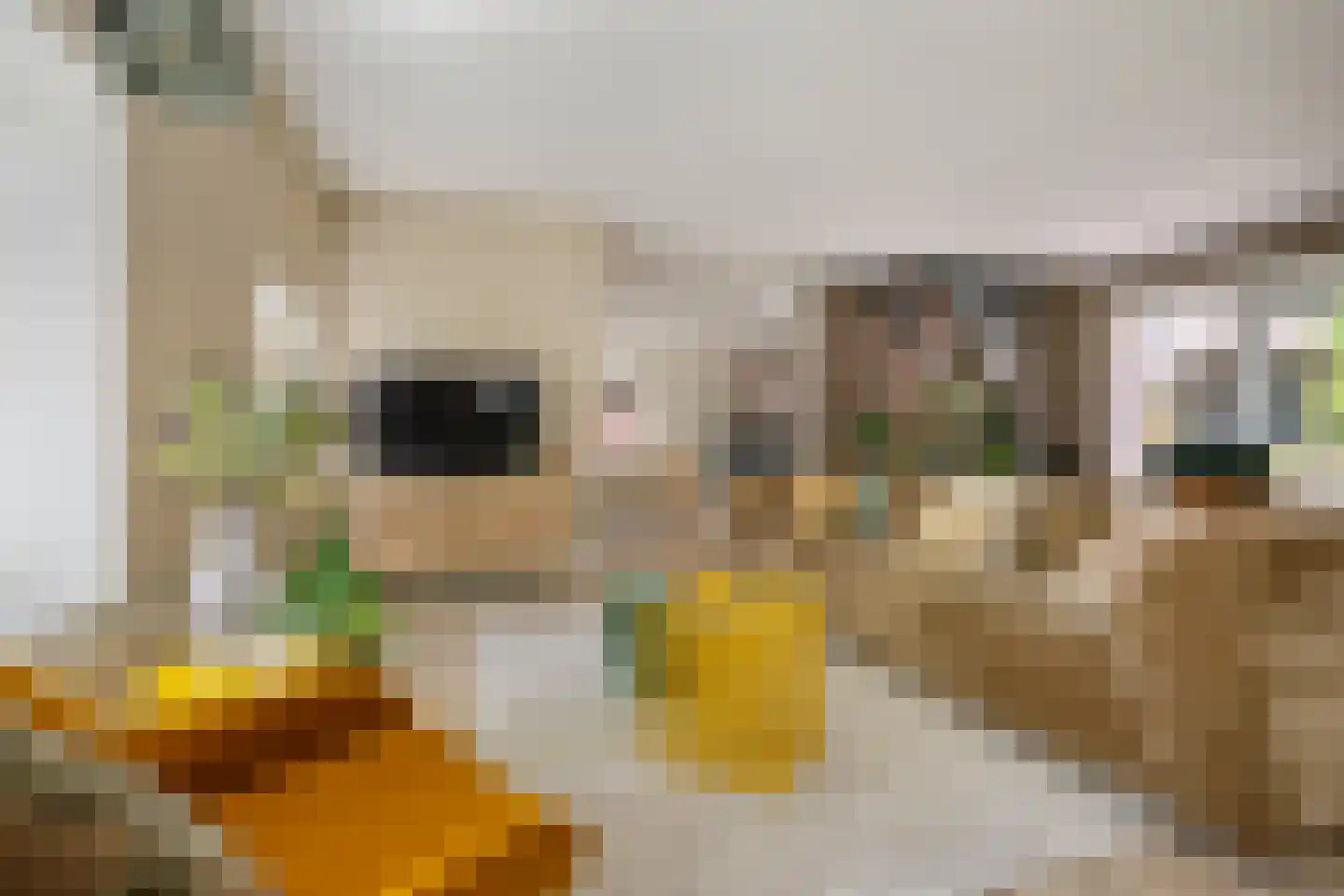 Streeksterpad 7 Wirdum thumbnail 4