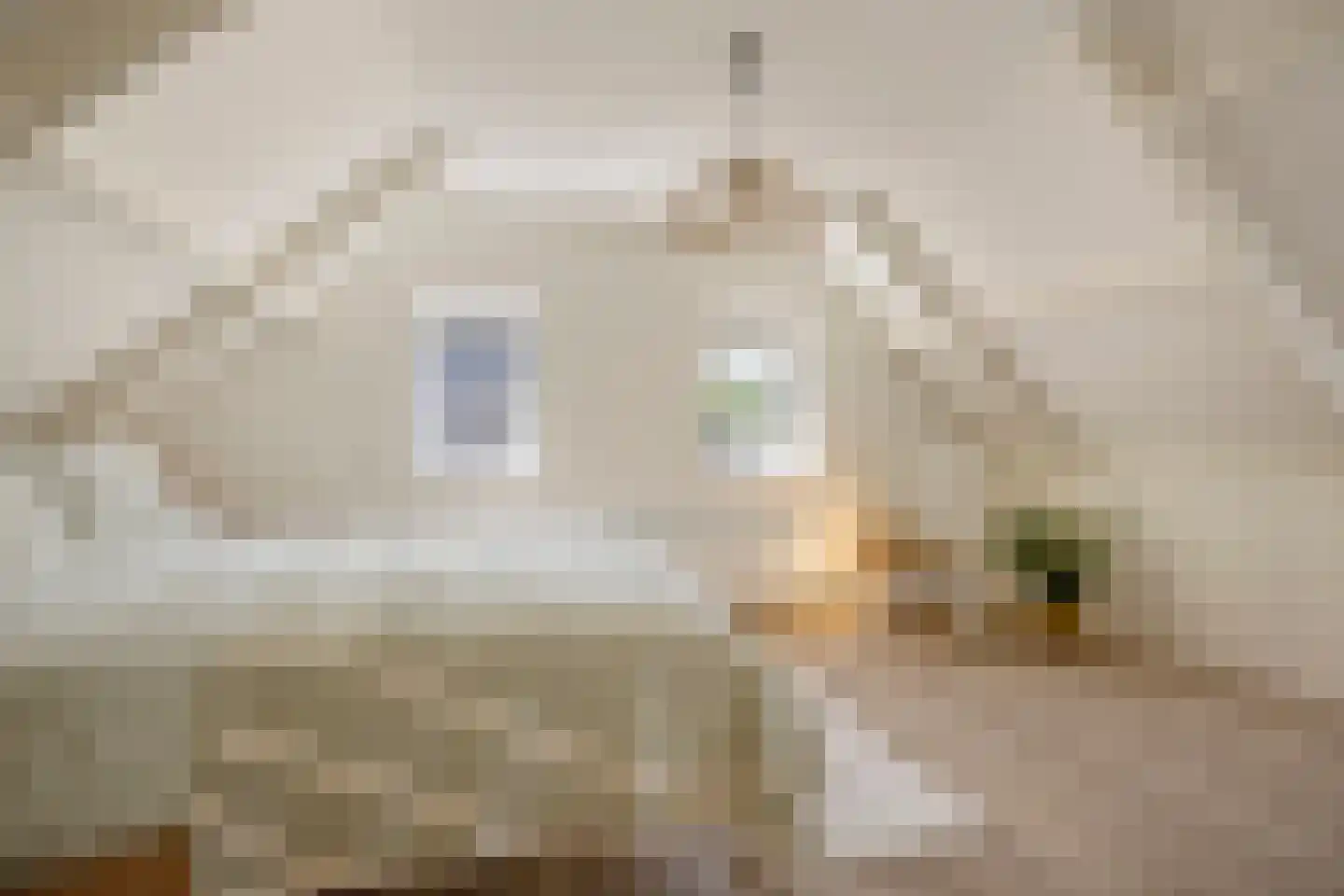 Streeksterpad 7 Wirdum thumbnail 42