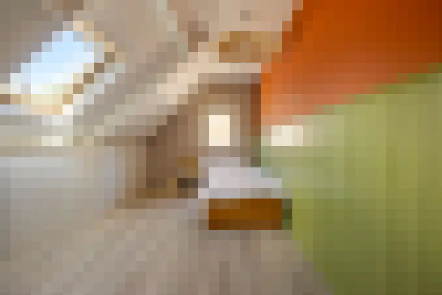 Streeksterpad 7 Wirdum thumbnail 43