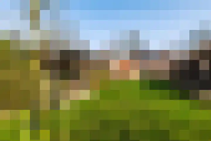 Streeksterpad 7 Wirdum thumbnail 43