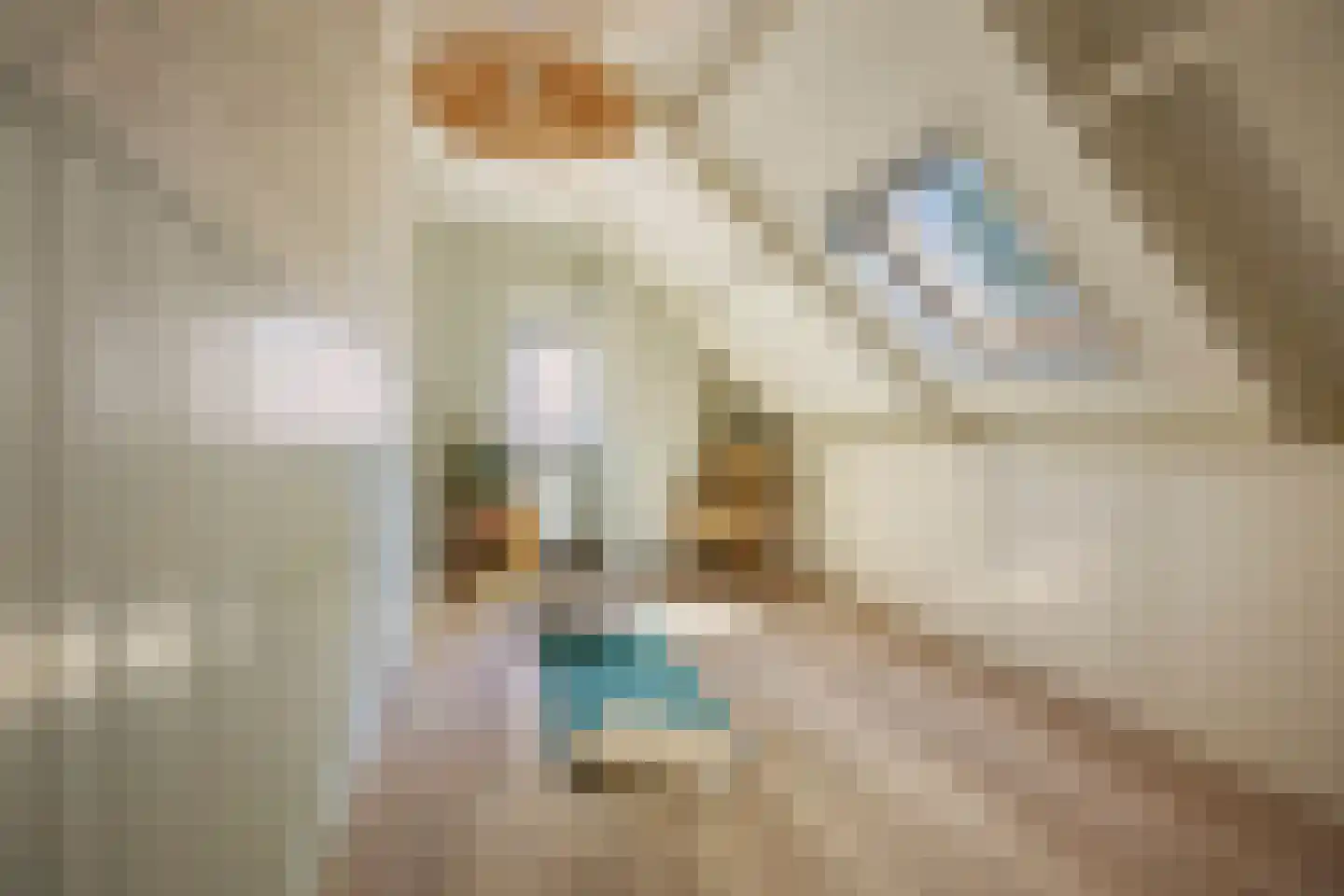 Streeksterpad 7 Wirdum thumbnail 44