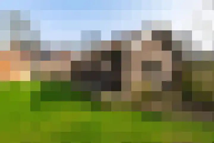 Streeksterpad 7 Wirdum thumbnail 44