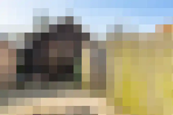 Streeksterpad 7 Wirdum thumbnail 46