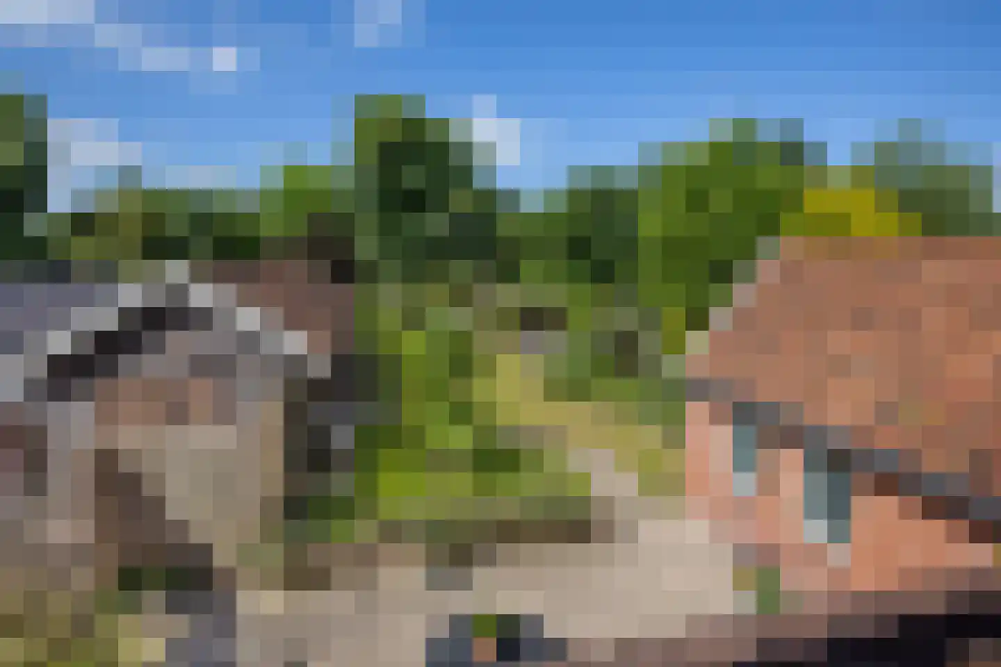 Streeksterpad 7 Wirdum thumbnail 46