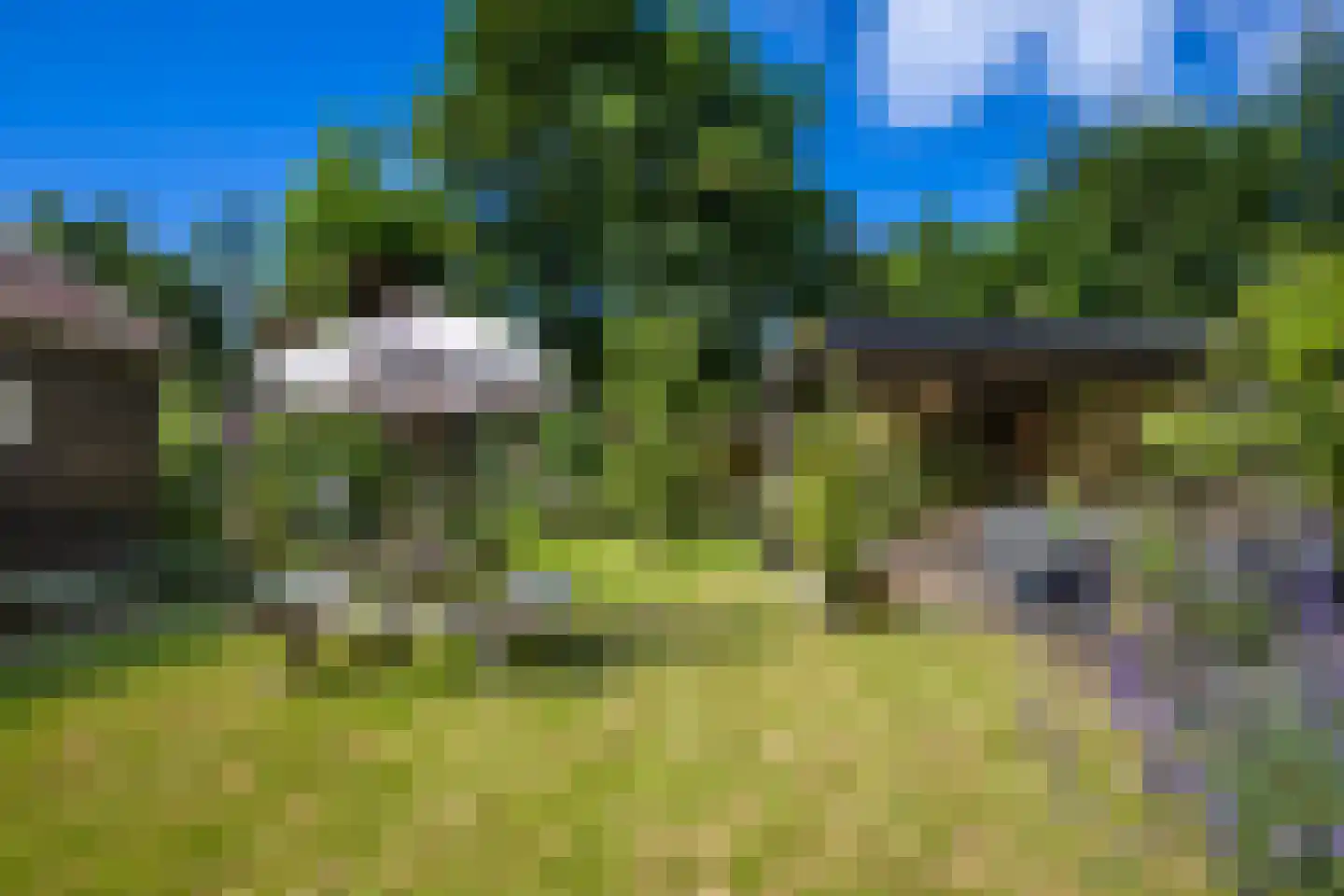 Streeksterpad 7 Wirdum thumbnail 50
